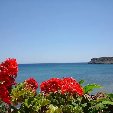 Dimitra *